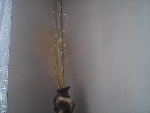 Littlecatme online show from July 21, 2026, 7:32 am