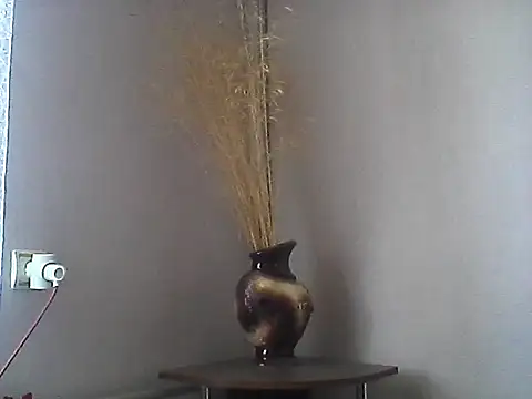 Littlecatme online show from July 27, 2026, 7:04 am