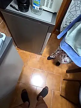 coppiaoraleee online show from November 20, 2025, 1:06 am