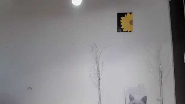 Snapshot of Stein_ chatting on September 15, 2025, 1:55 pm Stein online show from September 15, 2025, 1:55 pm