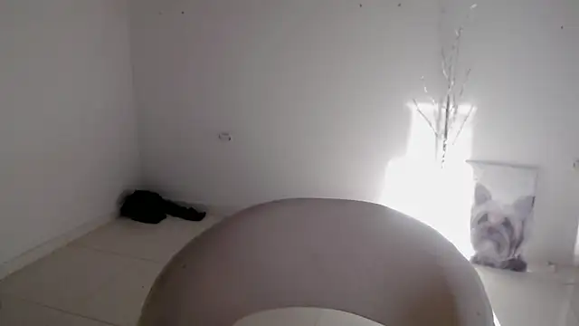 Snapshot of Stein_ chatting on September 24, 2025, 12:52 pm Stein online show from September 24, 2025, 12:52 pm