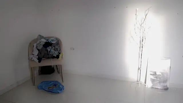 Snapshot of Stein_ chatting on September 25, 2025, 11:58 am Stein online show from September 25, 2025, 11:58 am