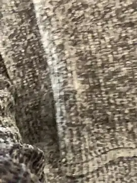 Snapshot of sunset24 chatting on October 13, 2025, 8:58 am sunset24 online show from October 13, 2025, 8:58 am