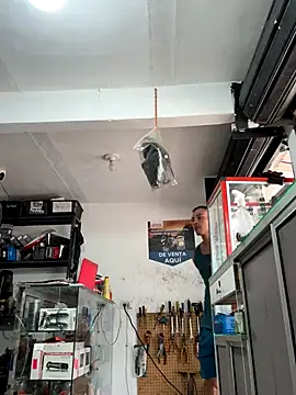 Terra-22cm online show from October 18, 2025, 2:51 pm