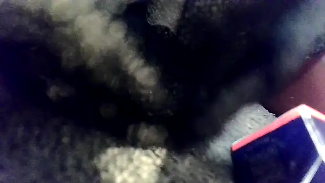 Evieskyyxh online show from November 26, 2025, 10:49 am