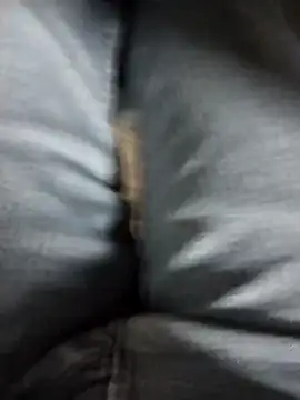 Ajayy01 online show from March 3, 2026, 7:14 am