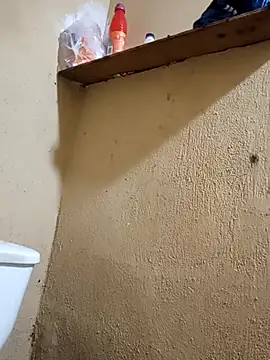 125Delfin90 online show from April 18, 2026, 8:51 am