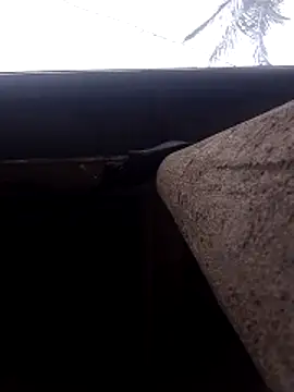 Snapshot of lady_helen00 chatting on November 15, 2025, 6:55 am lady helen00 online show from November 15, 2025, 6:55 am