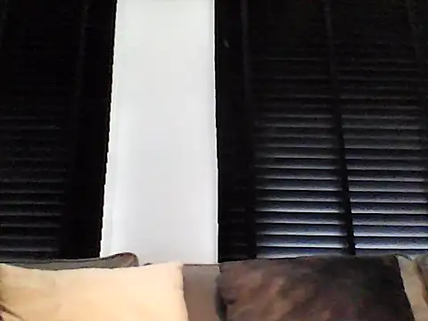 Snapshot of perlados chatting on May 16, 2026, 7:38 am perlados online show from May 16, 2026, 7:38 am