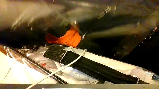 Snapshot of BBCGottii chatting on March 17, 2026, 5:33 am BBCGottii online show from March 17, 2026, 5:33 am