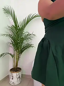 Ariana2017 online show from February 24, 2026, 3:32 pm