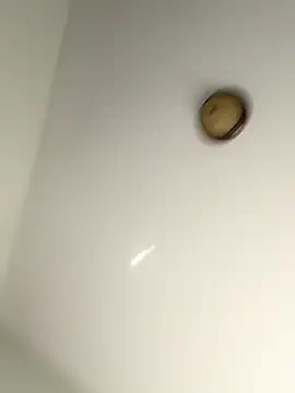 lilcubangoddess online show from October 28, 2025, 2:31 pm