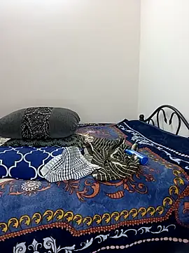 Chadni kannada online show from February 28, 2026, 4:52 pm