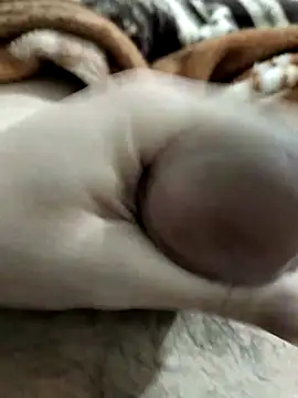 Zepe 12 online show from March 1, 2026, 10:12 pm