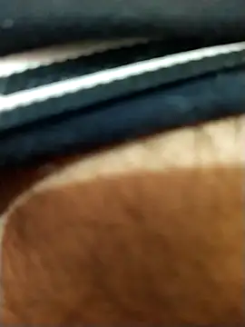 8inches DelhiBOY online show from November 17, 2025, 5:13 am