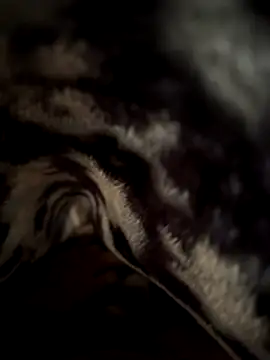 Snapshot of jackyw chatting on November 21, 2025, 6:12 am jackyw online show from November 21, 2025, 6:12 am