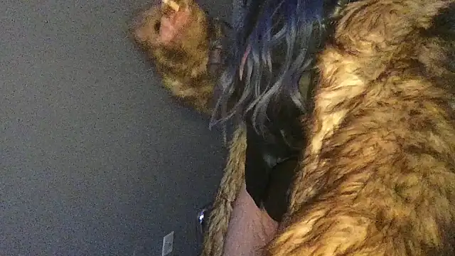 Snapshot of Stevey5894 chatting on November 30, 2025, 5:28 pm Stevey5894 online show from November 30, 2025, 5:28 pm