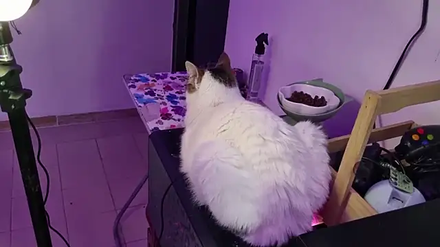 Snapshot of Lovers_cave chatting on December 19, 2025, 2:07 am Lovers cave online show from December 19, 2025, 2:07 am