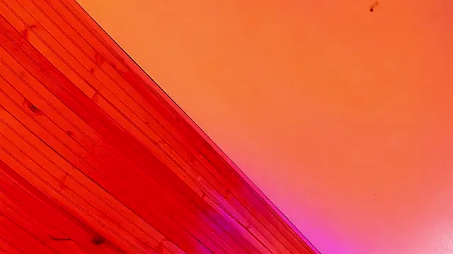 Angel kanon online show from March 3, 2026, 12:33 pm