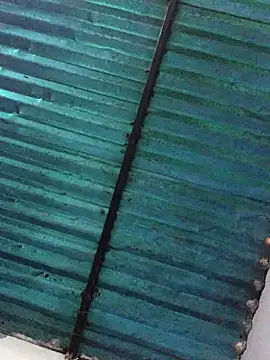 veronica and bryan online show from September 14, 2025, 3:49 am