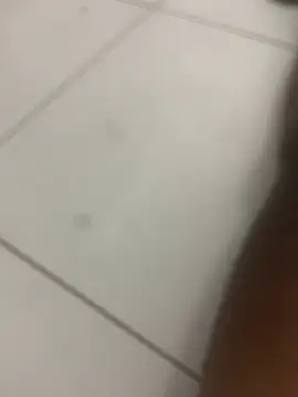 novin21rj online show from April 7, 2026, 12:55 am