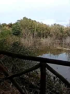 pegaso369 online show from October 20, 2025, 2:39 pm