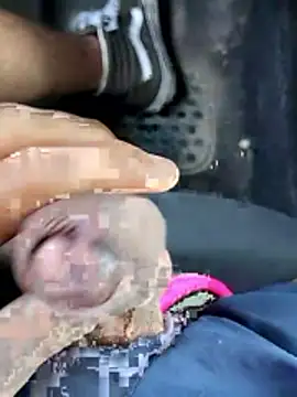 pegaso369 online show from April 8, 2026, 12:16 pm