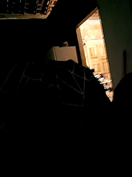 Snapshot of Rafael-01 chatting on September 24, 2025, 4:27 am Rafael-01 online show from September 24, 2025, 4:27 am