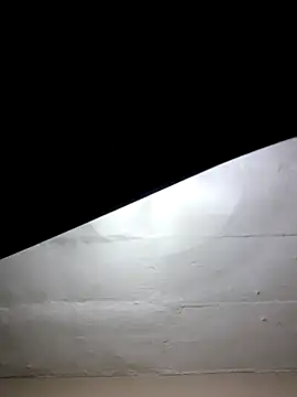 mileesha online show from January 17, 2026, 6:33 pm