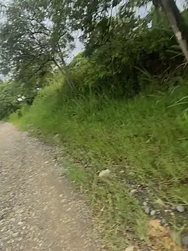 Alahia skyy online show from October 25, 2025, 1:29 pm