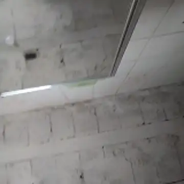 rodrigohuge online show from November 26, 2025, 12:39 pm