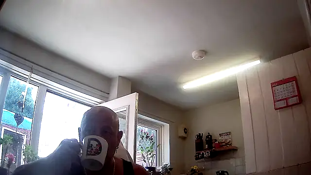 Snapshot of playfulchell chatting on July 17, 2026, 10:55 am playfulchell online show from July 17, 2026, 10:55 am