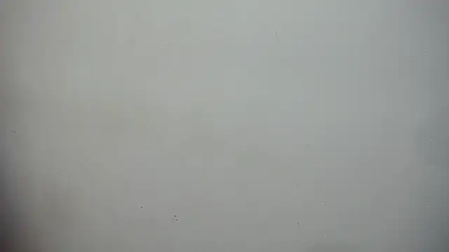 nenaa stg online show from September 12, 2025, 1:17 am