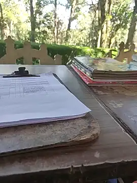 Snapshot of BasicGoal96 chatting on November 5, 2025, 8:14 am BasicGoal96 online show from November 5, 2025, 8:14 am