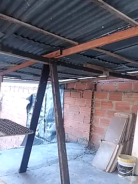 hoteder online show from November 25, 2025, 11:54 am