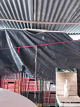 hoteder online show from February 23, 2026, 2:47 pm