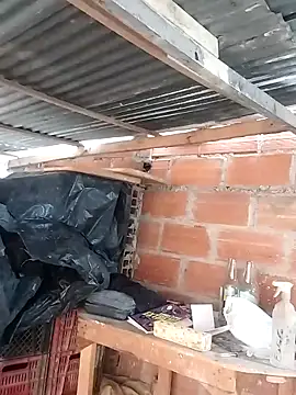 hoteder online show from March 23, 2026, 12:20 pm