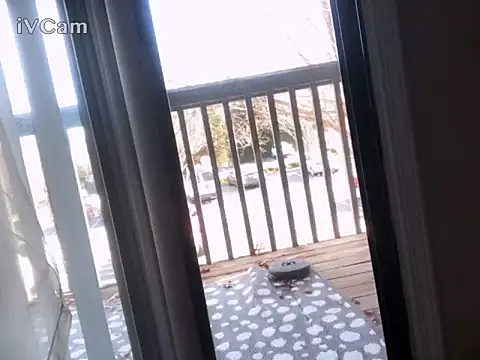 Snapshot of honoka008 chatting on November 29, 2025, 5:05 pm honoka008 online show from November 29, 2025, 5:05 pm