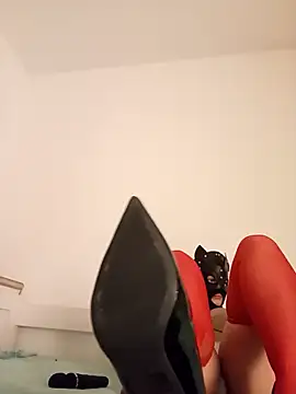 KittenCarnivore online show from November 22, 2025, 8:30 pm