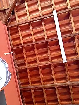 RaphinhaSanches online show from November 7, 2025, 1:00 pm