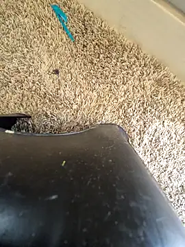 EsDezz88 online show from March 22, 2026, 8:23 pm