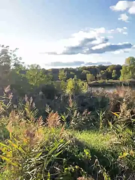 FavoriteKira online show from September 20, 2025, 2:07 pm