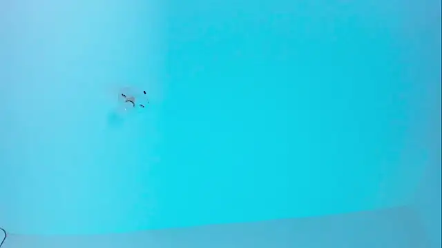 Im naho online show from November 19, 2025, 9:59 pm