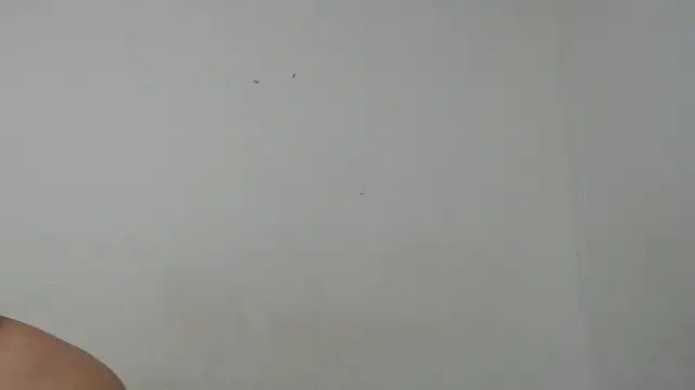 Snapshot of Ana_ThiagoxX chatting on September 14, 2025, 2:54 am Ana ThiagoxX online show from September 14, 2025, 2:54 am