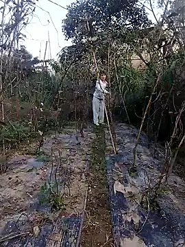 linda bae00 online show from November 27, 2025, 12:46 am