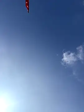 EmLy02 online show from December 19, 2025, 3:46 am