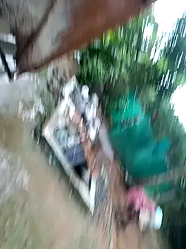 dolphiinn online show from November 29, 2025, 1:41 am