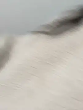 Victoria alson online show from February 19, 2026, 1:29 pm