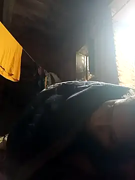 cute diya 12 online show from February 19, 2026, 3:24 am