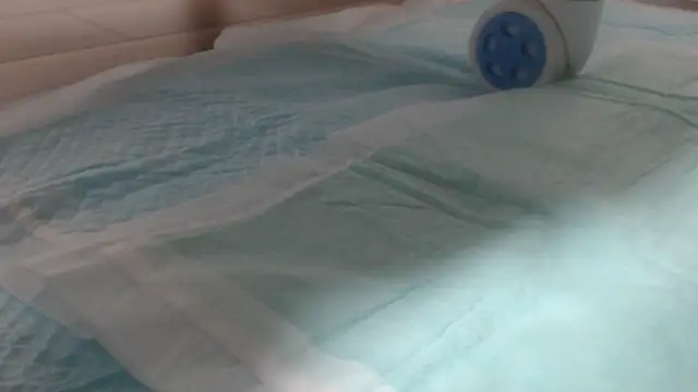 asuka xoxo online show from October 19, 2025, 8:31 pm